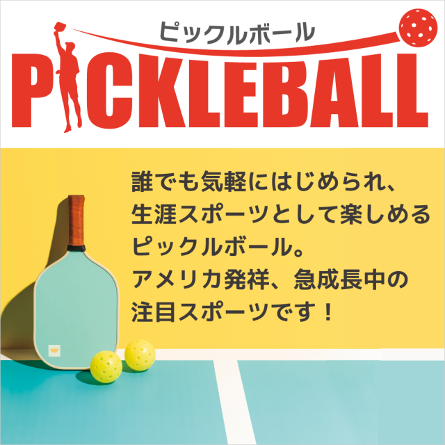 ピックるボール
