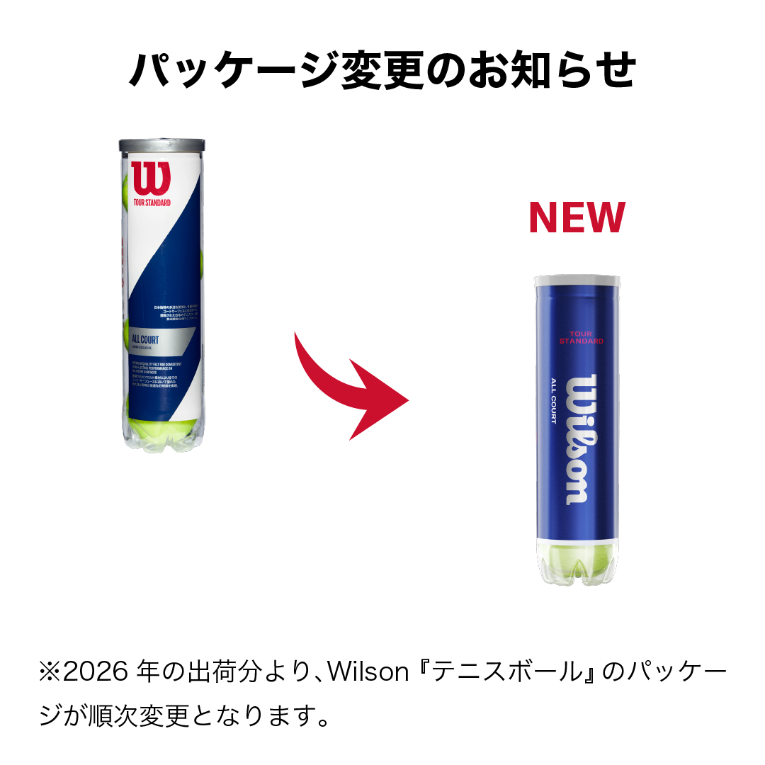【希少】ウィルソンWilson T2000 2本セット ケース付き 硬式テニス ウィルソン ツアースタンダード WILSON TOUR STANDARD 4球入 硬式